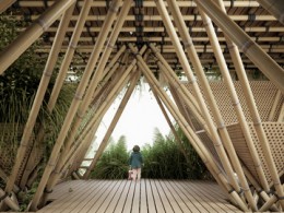 Проект бамбукового города в Китае